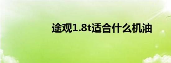 途观1.8t适合什么机油