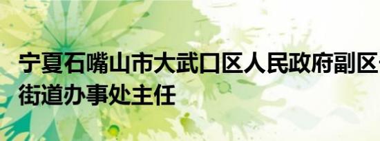 宁夏石嘴山市大武口区人民政府副区长、沟口街道办事处主任