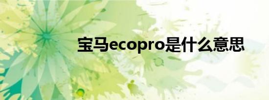 宝马ecopro是什么意思