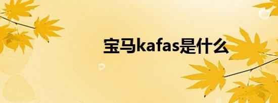 宝马kafas是什么