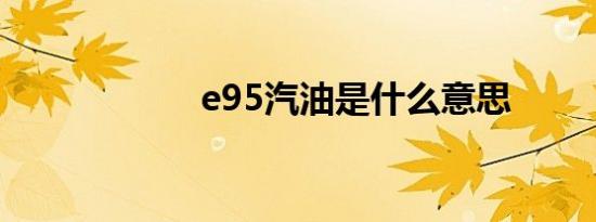 e95汽油是什么意思