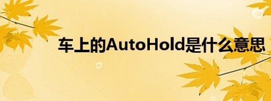 车上的AutoHold是什么意思