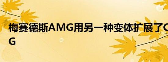 梅赛德斯AMG用另一种变体扩展了C 63 AMG