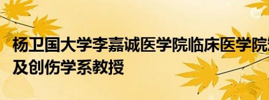 杨卫国大学李嘉诚医学院临床医学院矫形外科及创伤学系教授