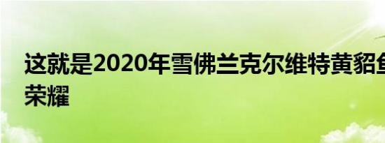 这就是2020年雪佛兰克尔维特黄貂鱼的全部荣耀