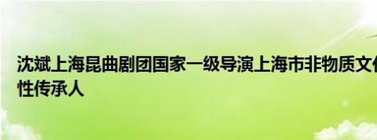 沈斌上海昆曲剧团国家一级导演上海市非物质文化遗产代表性传承人