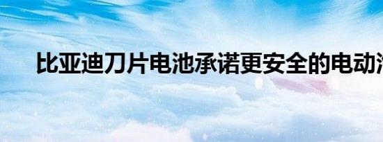 比亚迪刀片电池承诺更安全的电动汽车