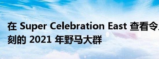 在 Super Celebration East 查看令人印象深刻的 2021 年野马大群