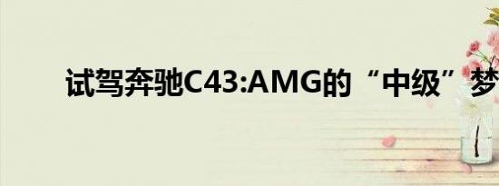 试驾奔驰C43:AMG的“中级”梦想