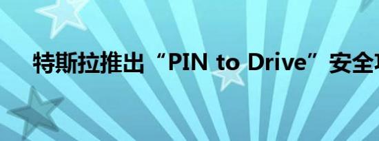 特斯拉推出“PIN to Drive”安全功能