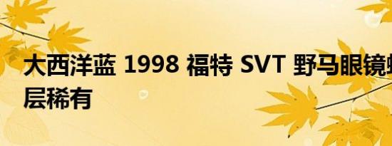 大西洋蓝 1998 福特 SVT 野马眼镜蛇带有多层稀有