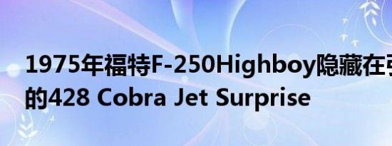 1975年福特F-250Highboy隐藏在引擎盖下的428 Cobra Jet Surprise