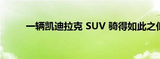 一辆凯迪拉克 SUV 骑得如此之低