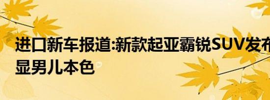 进口新车报道:新款起亚霸锐SUV发布 大块头显男儿本色