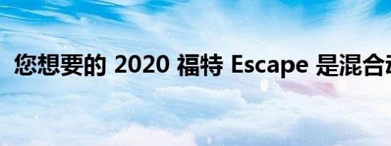 您想要的 2020 福特 Escape 是混合动力车