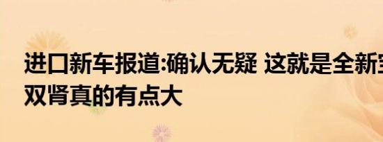 进口新车报道:确认无疑 这就是全新宝马4系 双肾真的有点大