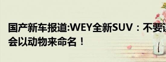 国产新车报道:WEY全新SUV：不要误会,我不会以动物来命名！