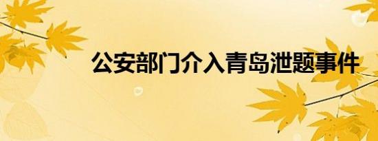 公安部门介入青岛泄题事件