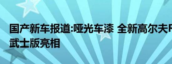 国产新车报道:哑光车漆 全新高尔夫R-Line黑武士版亮相