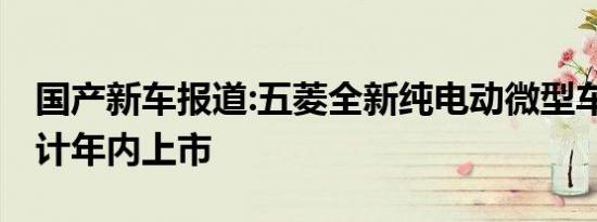 国产新车报道:五菱全新纯电动微型车官图 预计年内上市