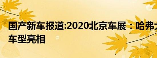 国产新车报道:2020北京车展：哈弗大狗2.0T车型亮相