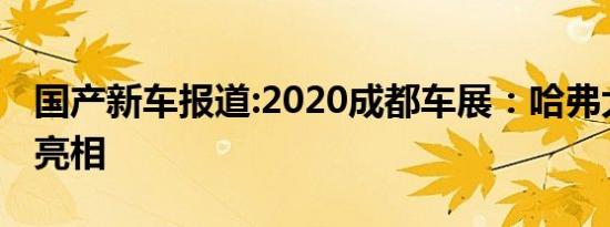 国产新车报道:2020成都车展：哈弗大狗首次亮相