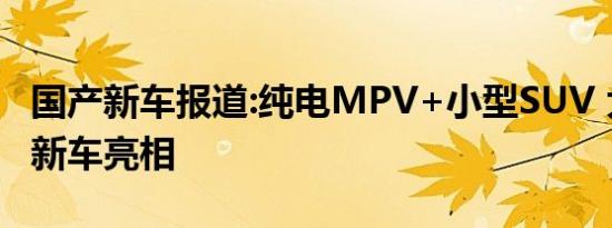 国产新车报道:纯电MPV+小型SUV 大运两款新车亮相