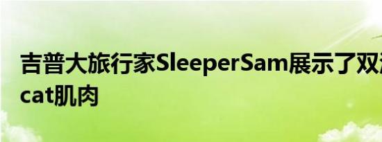 吉普大旅行家SleeperSam展示了双涡轮Hellcat肌肉