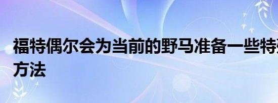 福特偶尔会为当前的野马准备一些特殊的处理方法