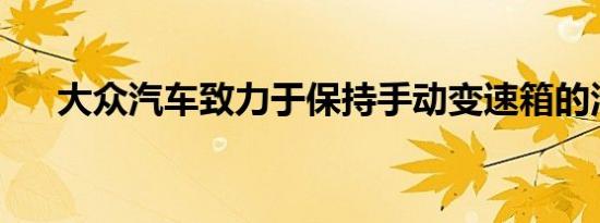 大众汽车致力于保持手动变速箱的活力