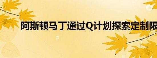 阿斯顿马丁通过Q计划探索定制限制