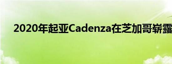 2020年起亚Cadenza在芝加哥崭露头角