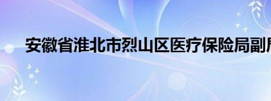 安徽省淮北市烈山区医疗保险局副局长