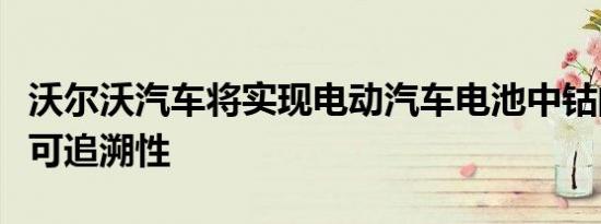 沃尔沃汽车将实现电动汽车电池中钴的区块链可追溯性