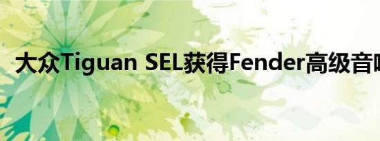 大众Tiguan SEL获得Fender高级音响系统