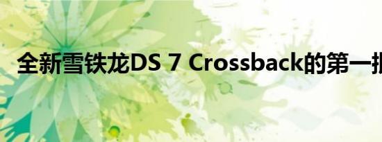 全新雪铁龙DS 7 Crossback的第一批图像