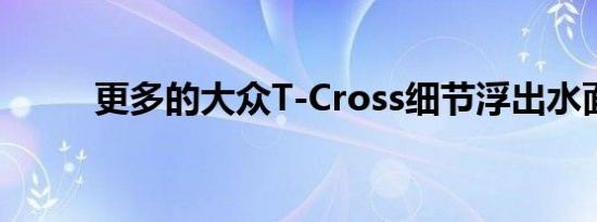 更多的大众T-Cross细节浮出水面