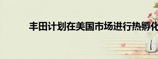 丰田计划在美国市场进行热孵化