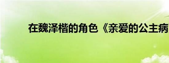 在魏泽楷的角色《亲爱的公主病》