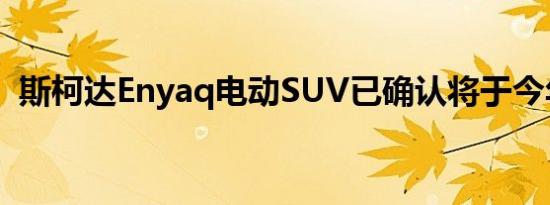 斯柯达Enyaq电动SUV已确认将于今年推出