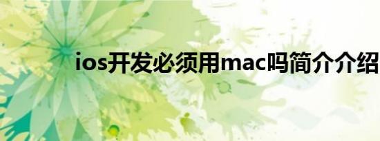 ios开发必须用mac吗简介介绍