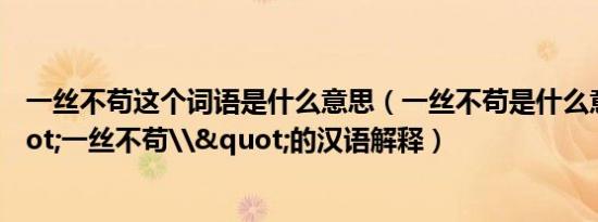 一丝不苟这个词语是什么意思（一丝不苟是什么意思\"一丝不苟\"的汉语解释）