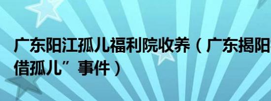 广东阳江孤儿福利院收养（广东揭阳福利院“借孤儿”事件）