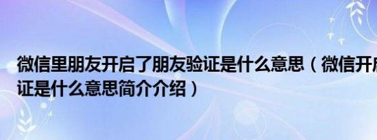 微信里朋友开启了朋友验证是什么意思（微信开启了朋友验证是什么意思简介介绍）