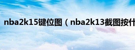 nba2k15键位图（nba2k13截图按什么键）