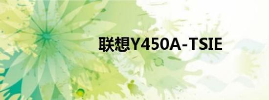 联想Y450A-TSIE