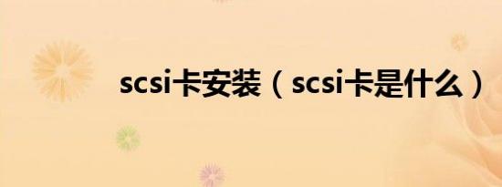 scsi卡安装（scsi卡是什么）