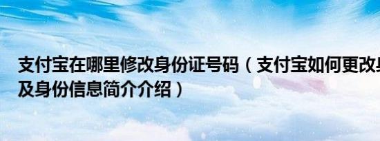 支付宝在哪里修改身份证号码（支付宝如何更改身份证号码及身份信息简介介绍）