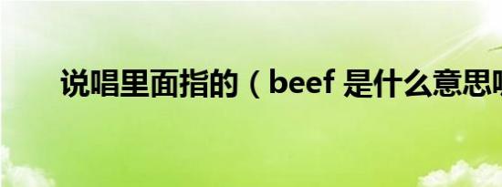 说唱里面指的（beef 是什么意思呢）