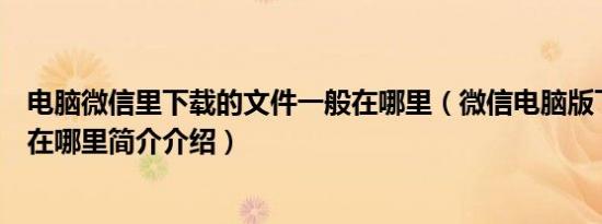 电脑微信里下载的文件一般在哪里（微信电脑版下载的文件在哪里简介介绍）